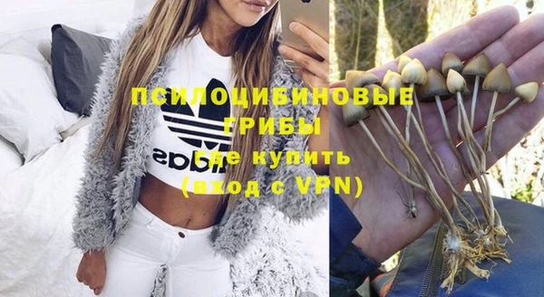 эйфоретик Баксан