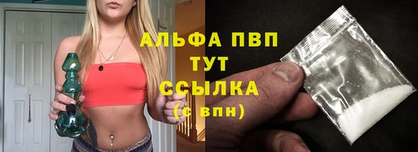 эйфоретик Баксан
